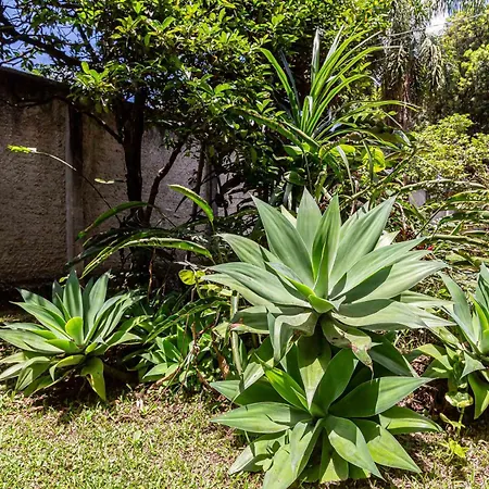 Memora Guesthouse Curitiba - Quartos em Casa próximo ao Parque Bacacheri-2
